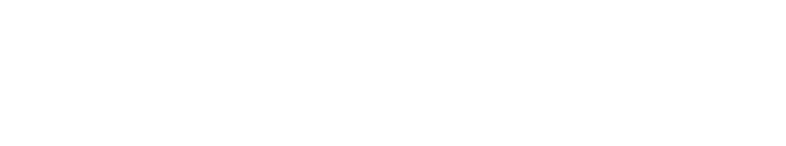 Logo ACICR